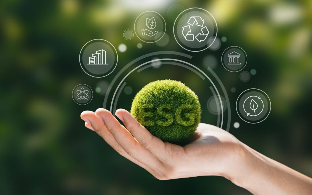 ESG-Informationspflichten im Rahmen Ihres eigenen Internetauftritts